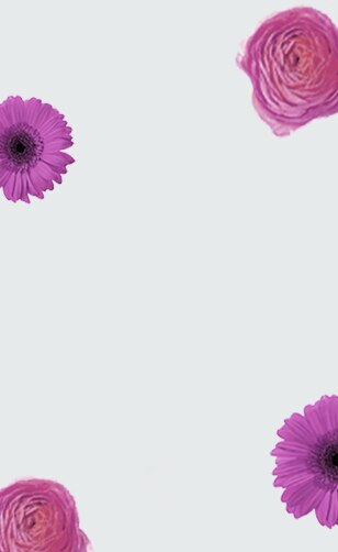 Blue Delicato Lungo – kapsle